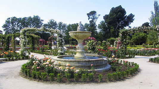 park, flowers, nature, spring, flower, garden, metropolitan park