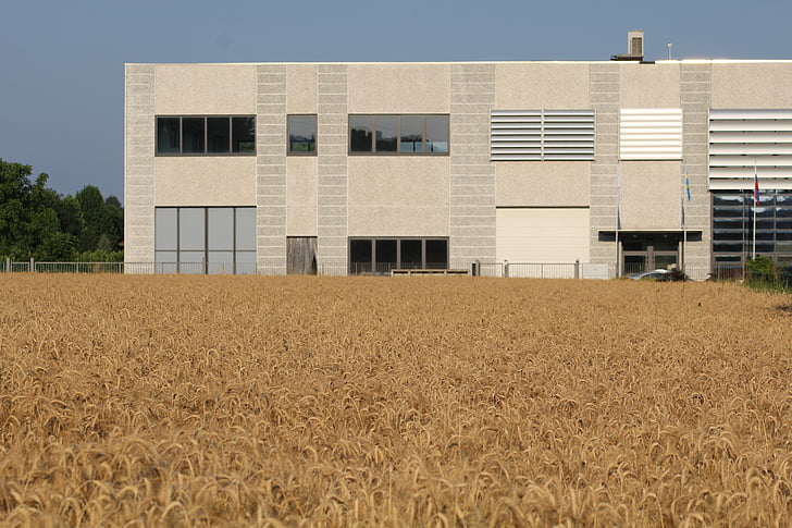 factory and campaign, agriculture and industry, wheat, cereals, industrial shed, factory, company