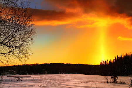 tramonto, inverno, paesaggio, paesaggio invernale, natura, neve, albero