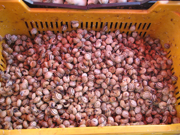 ślimaki, rynku palermo, Włochy