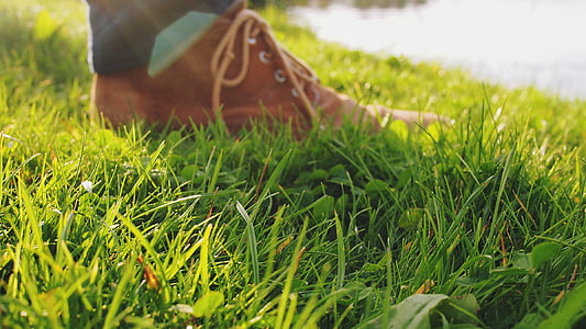 selective, focus, photography, green, grass, shoes, ground