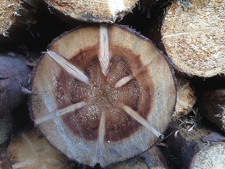 wood, saw, timber, holzstapel, chainsaw, strains, rays