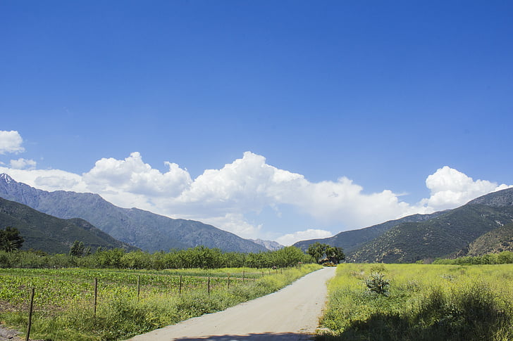 landskapet, Chile, feltet, Andes, bane, skyer, Prado