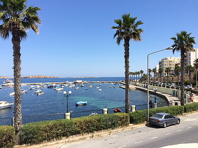 sjøen, Yacht, Malta, palmer, bil