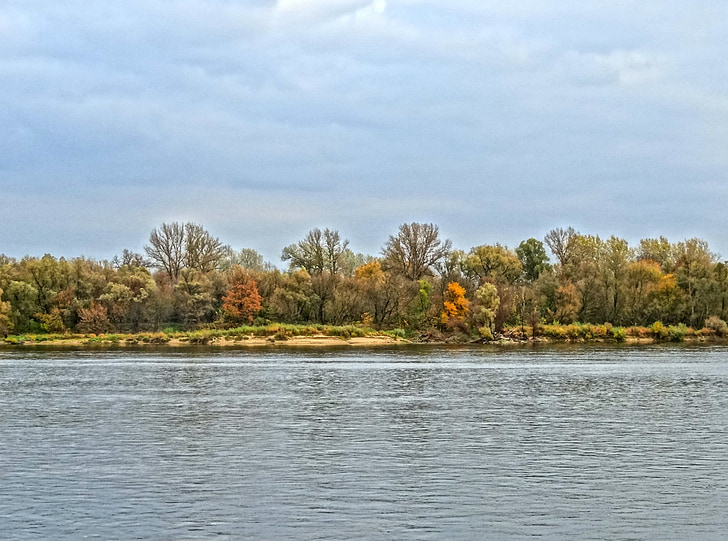 ヴィスワ川, ブィドゴシュチュ, 川, ポーランド, 水, 自然, 風景