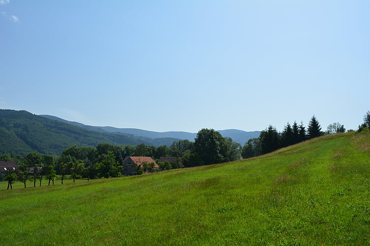 selo, Panorama, trava, ljeto, priroda, nebo