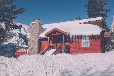 huset, Vinter, snø, trappetrinn, terrasse, trær, murstein