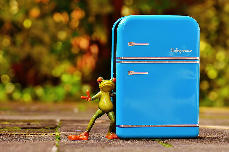 жаба, хладилник, синьо, фигура, Смешно, забавно, жаби