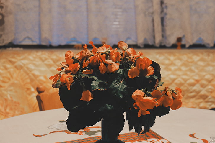 orange, fleurs, vase, bouquet, nature, Rose - fleur, fleur