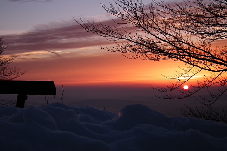 nit, neu, l'hivern, paisatge, posta de sol, arbre