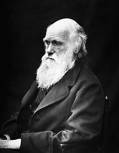 Charles robert darwin, Vedci, prírodovedec, Teória evolúcie, Evolution, čierna a biela, Senior dospelý