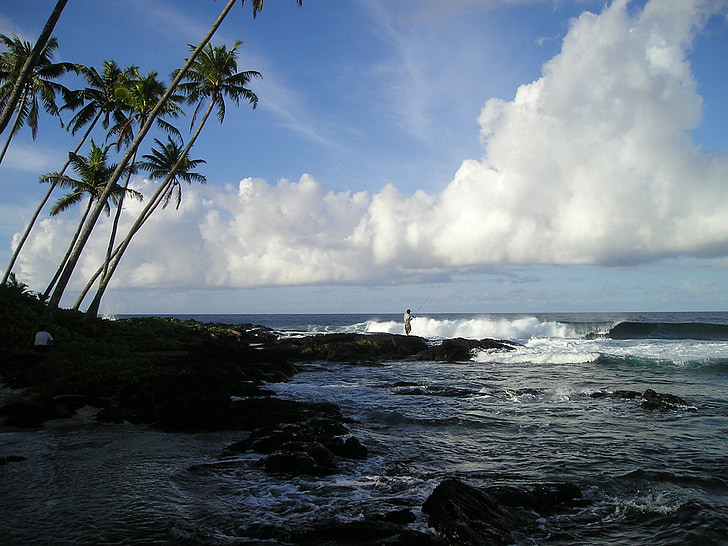 palm trees, sea, beach, coast, fischer, angler, samoa