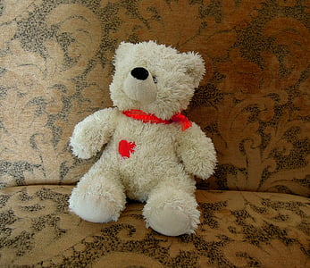 Teddy bear, balta, sarkana, dīvāns, sēdēt, rotaļlieta, dzīvnieka izbāzeni