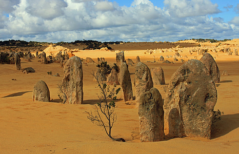Pinnacles, taşlar, Westcoast, Avustralya