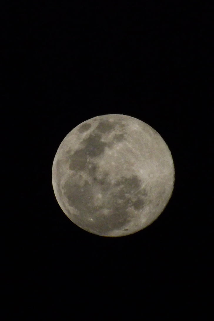 månen, fullmåne, natt