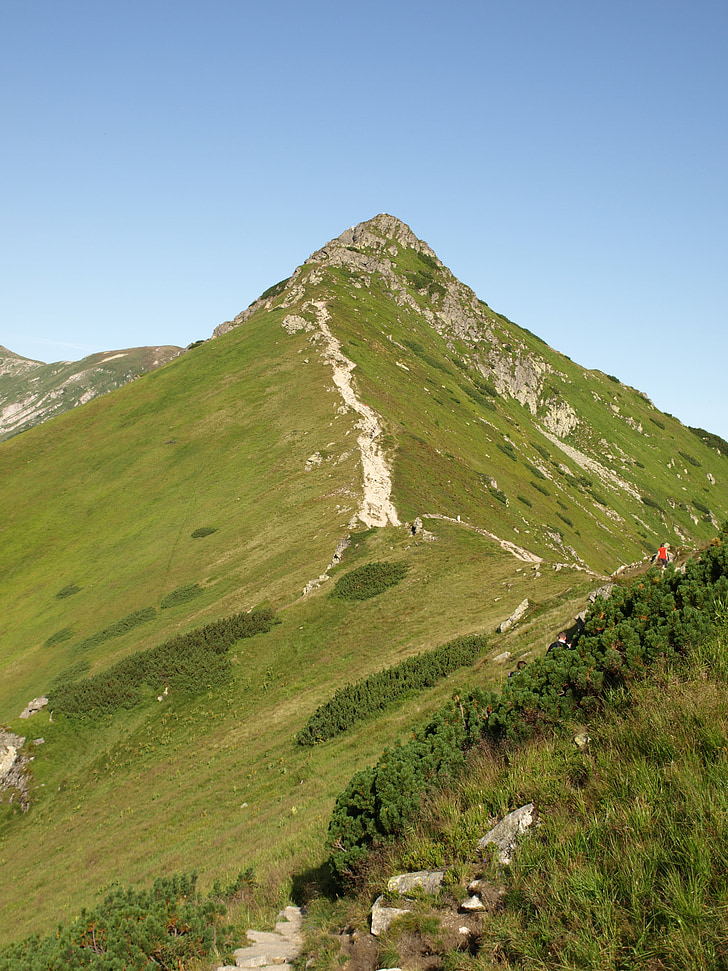 Tatrai, czerwone wierchy, Kopa kondracka, kalnai, pėsčiųjų takas, Lenkijos Tatruose, Gamta