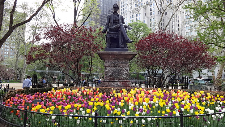 Nova york, primavera, Parc, Tulipa, Memorial, flor