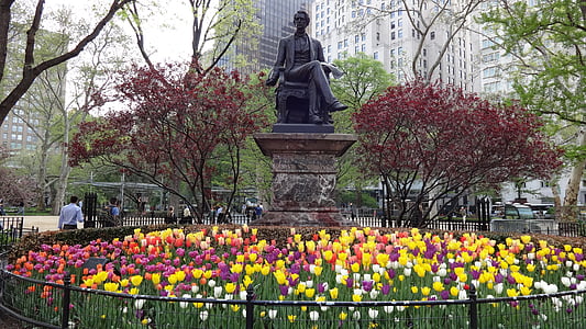 纽约, 春天, 公园, 郁金香, 纪念, 花