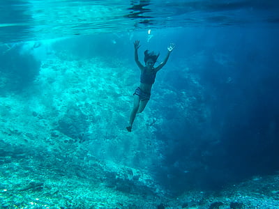 dona, gris, pantalons curts, part superior, sota l'aigua, fotos, Mar