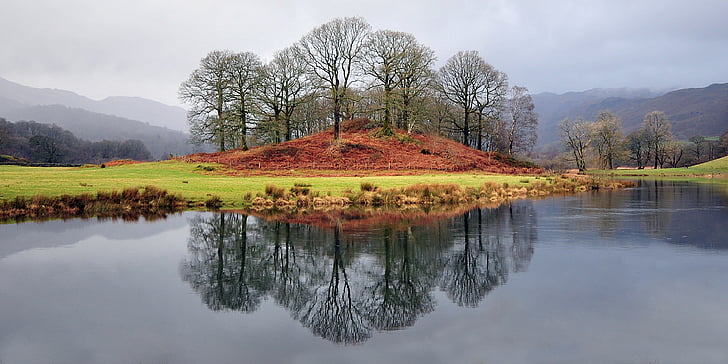 дървета, езеро, Cumbria, вода, природата, пейзаж, отражение