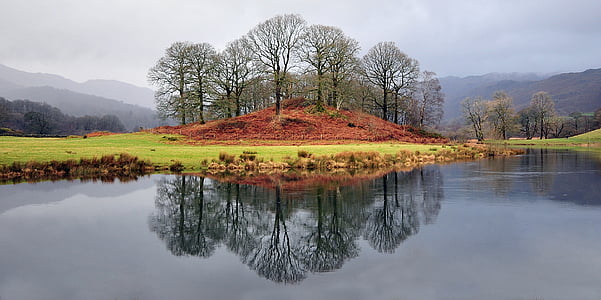 stromy, jezero, Cumbria, voda, Příroda, krajina, reflexe