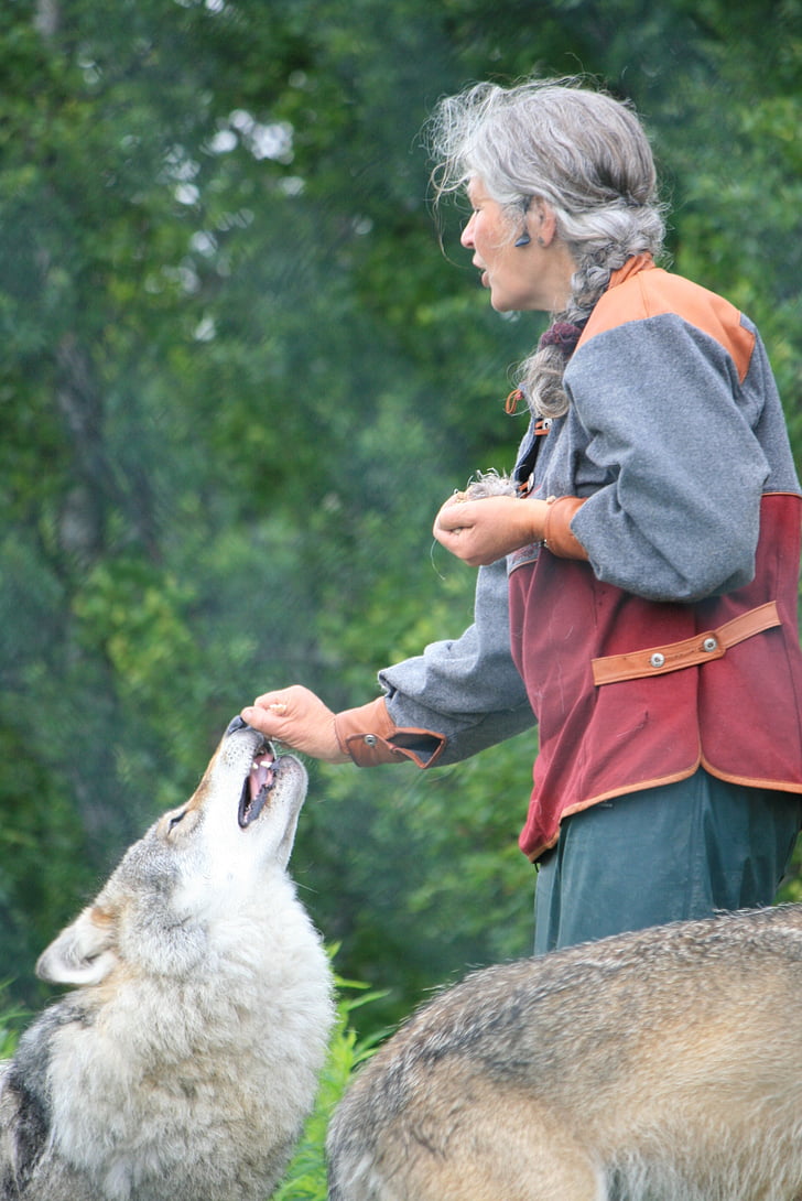 Wolf, natuur, boerderij, vrouw, risico, opleiding, dierlijke trainer