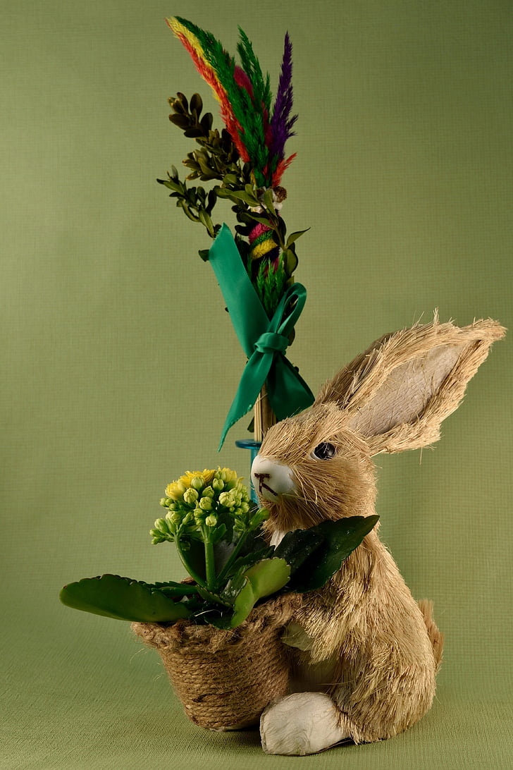 Великден, Палма, заек, заек - животните, животните, Сладък, зелен цвят