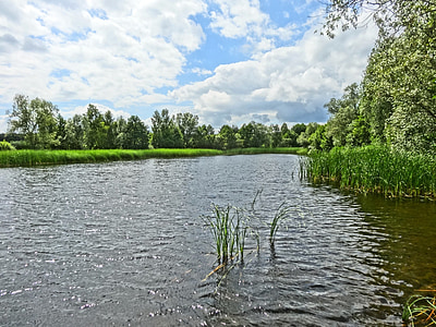Parc de l’étang, Lac, eau, paysage, nature, Pologne, été