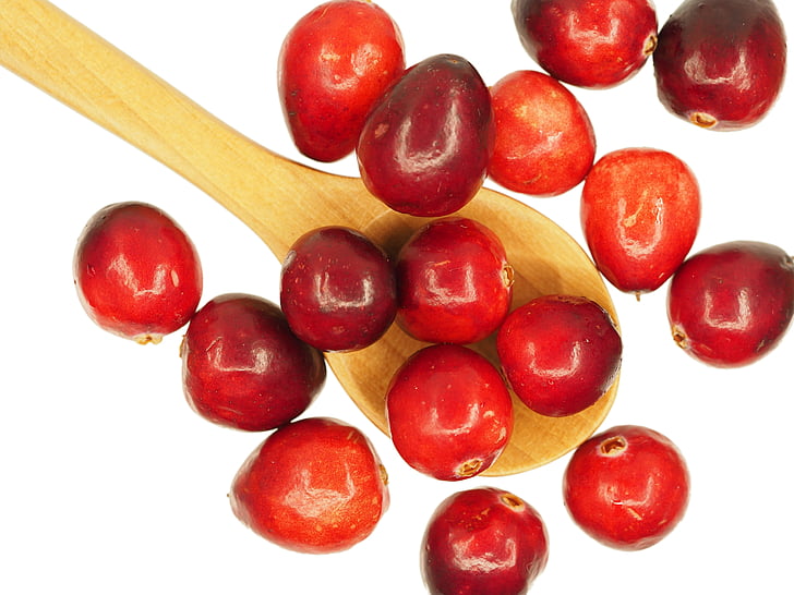 Cranberry, lepel, fruit, zure, rood, natuur, heerlijke