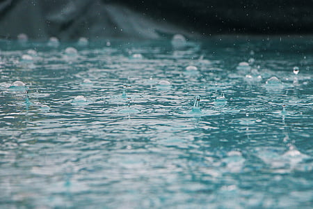 kapanje, kiša, pad, vode, mokro, priroda, tekućina