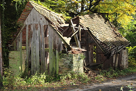 old, home, decay, nature, lapsed, wood, morsch