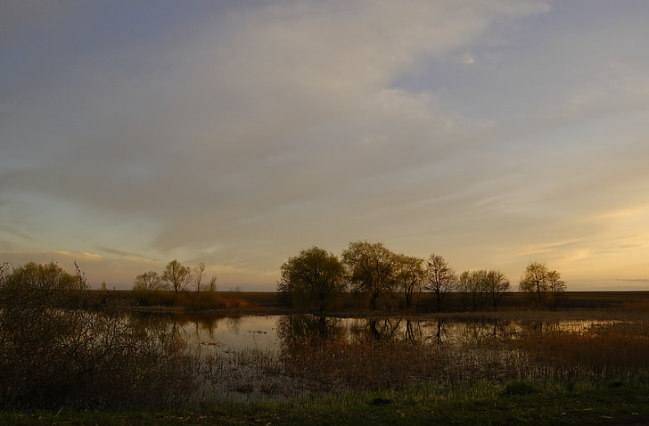 Lake, soos, kevadel, pärast päikeseloojangut, loodus, Ukraina, vee