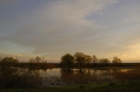 jezero, bažina, jaro, po západu slunce, Příroda, Ukrajina, voda