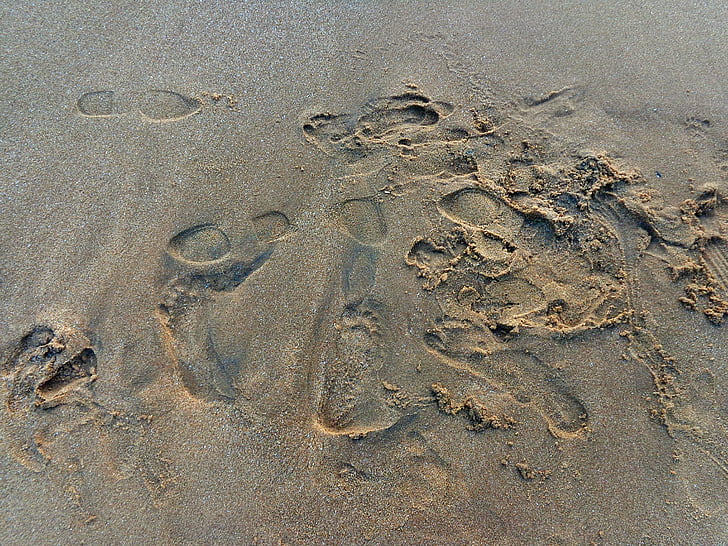 piedi, stampe, mare, sabbia, spiaggia, impronta, Costa