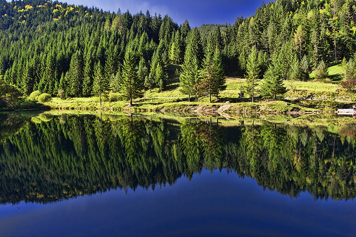 Словакия, příroda, планини, страна, гора, дървета, вода