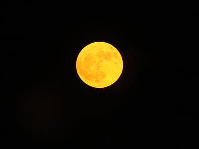 ay, Sarı ayın, Harvest moon