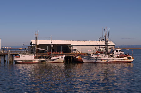 lode, rybárske plavidlo, Port, Pier