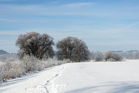 paisatge, l'hivern, neu, hivernal, blanc, cobert de neu, màgia de neu