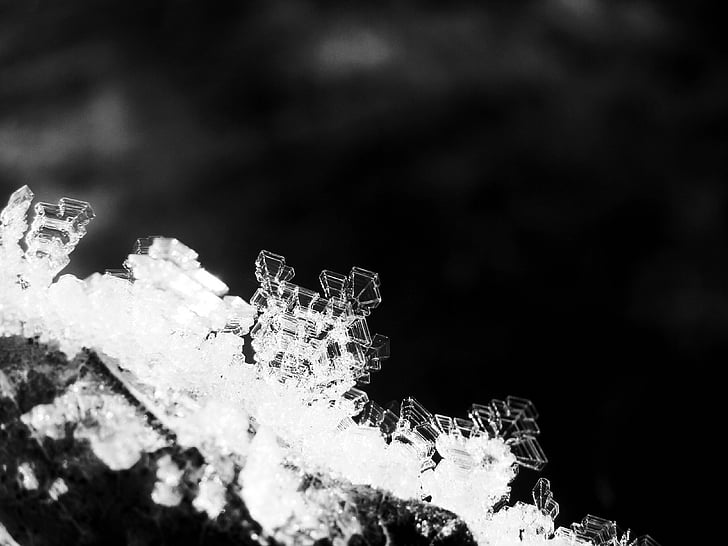 crystals, ice, winter, cold, black and white, macro, snow