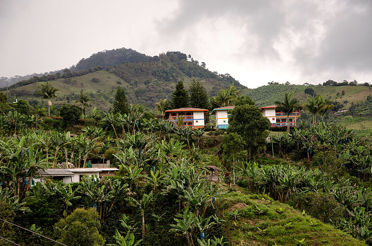Colombia, Jardin, kaffe sone, kaffe, kaffe-område, Antioquia, eiendom