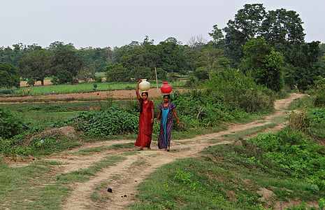 Moterys, kaimas, paimant vandens, puodą, rankas-, balansas, Karnataka