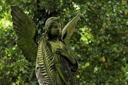 anjo, estátua, pedra, cemitério, personagem, morte, anjo da guarda
