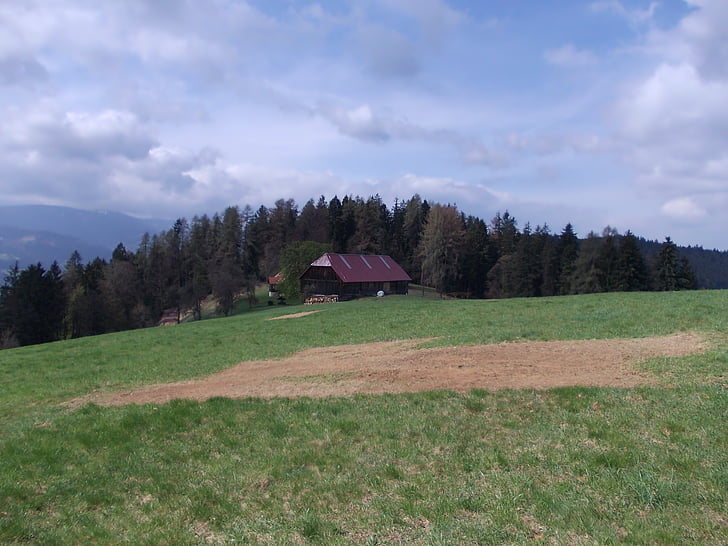 Словакия, ферма, плевня, къща, селски, гора, дървета