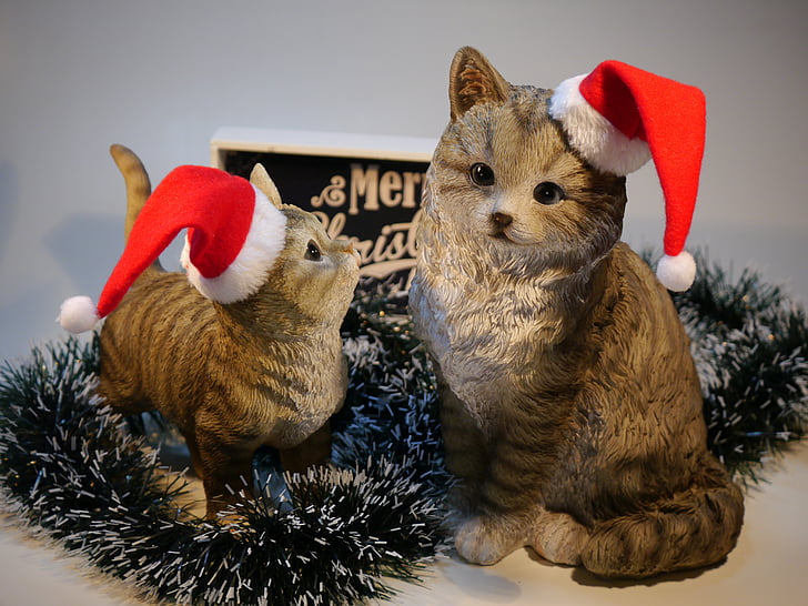 con mèo, Giáng sinh, Nicholas
