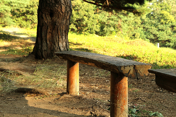 miško, suoliukas, parkas, medienos, pėsčiomis, medinis staliukas, kraštovaizdžio