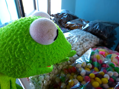 Kermit, broasca, cumpărături, bomboane, delicioase, colorat