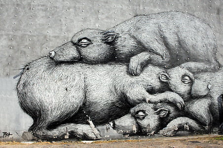 graffiti, Varsòvia, mur pintat, etiqueta