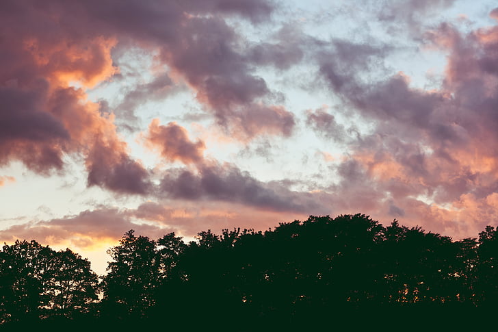 pink, sky, clouds, trees, woods