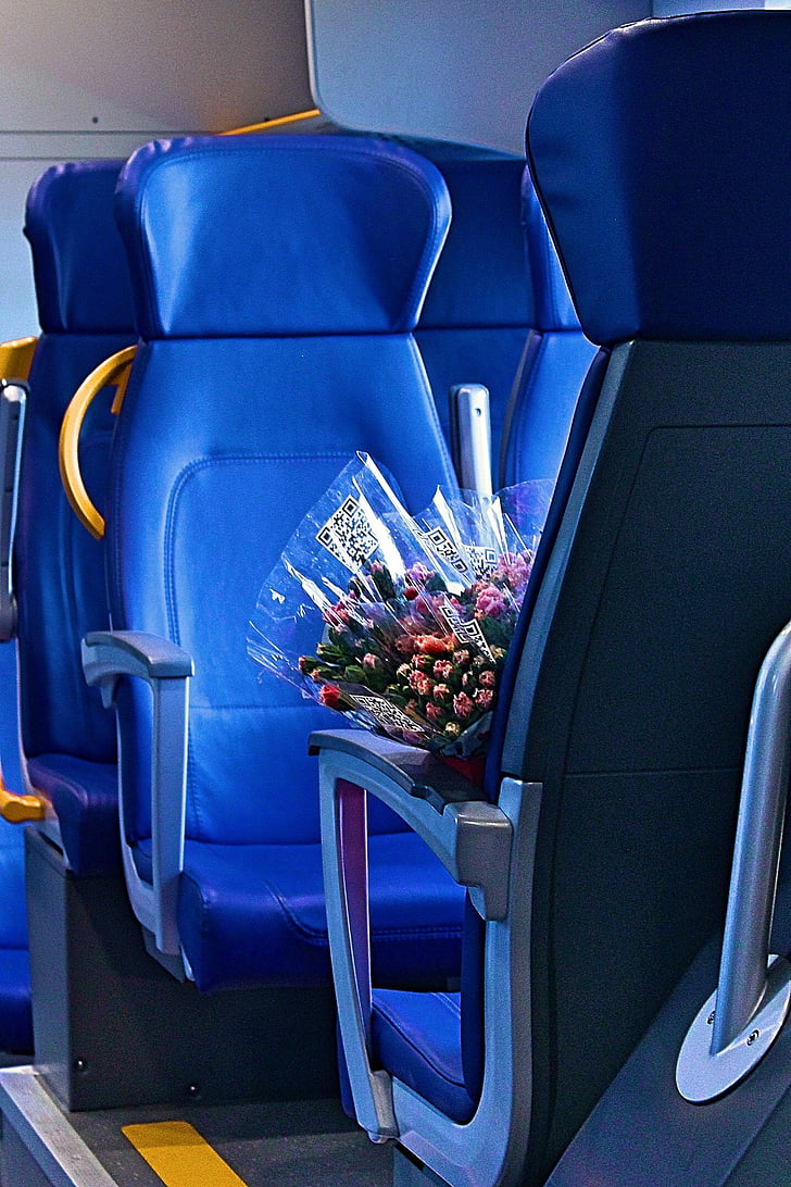 train, elektrichka, naples, roses, blue, armchair, the way