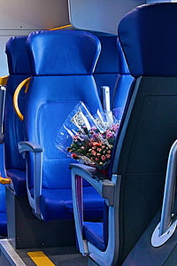 Trem, elektrichka, Nápoles, rosas, azul, poltrona, a maneira